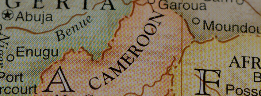 opportunités cameroun